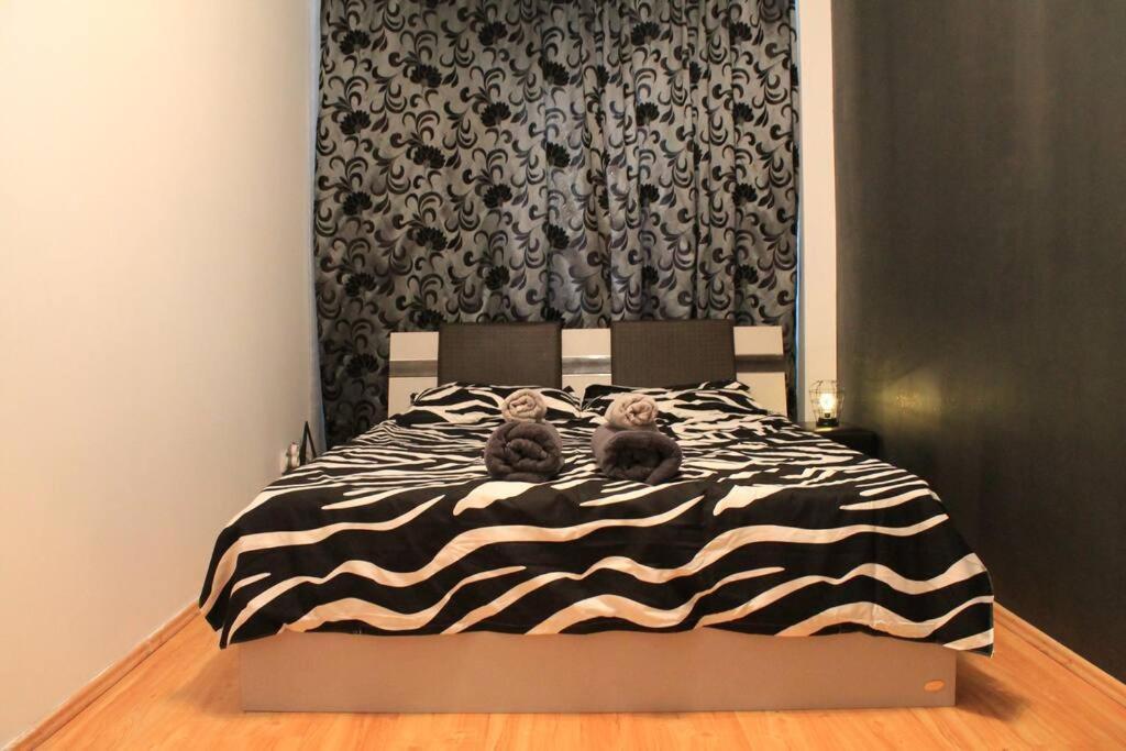 Yua'Shomes-Bussiness And Travel Apartment Kaloşvar Dış mekan fotoğraf