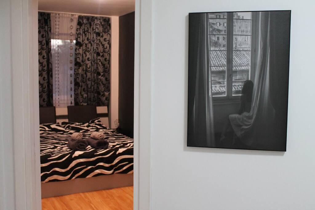 Yua'Shomes-Bussiness And Travel Apartment Kaloşvar Dış mekan fotoğraf